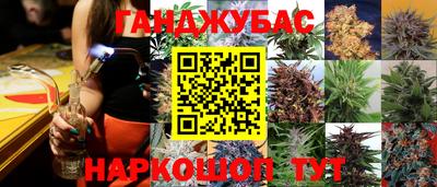 a pvp Жуковский