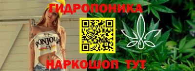 a pvp Жуковский