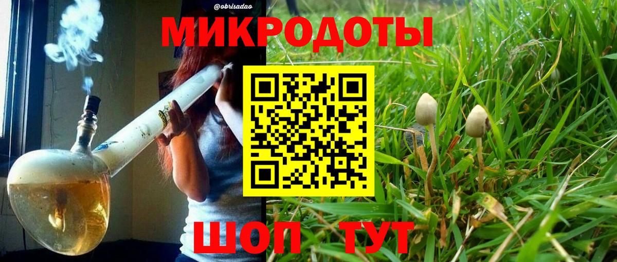 Псилоцибиновые грибы GOLDEN TEACHER Майский