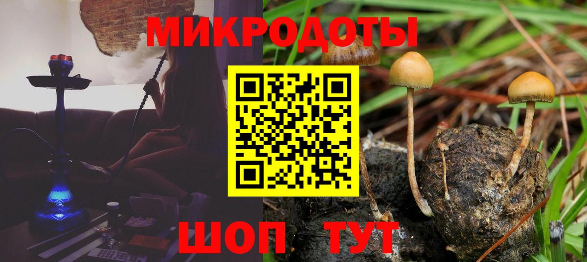 Майский  Псилоцибиновые грибы мицелий  Вход с VPN 